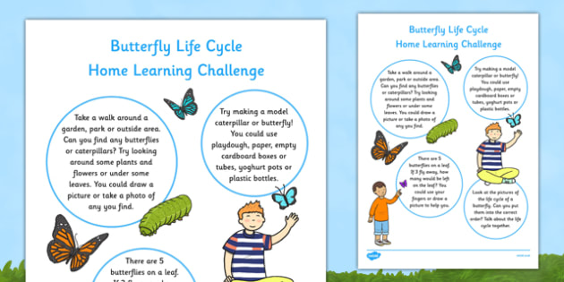 eyfs-butterfly-life-cycle-home-learning-challenge-sheet-nursery-fs1