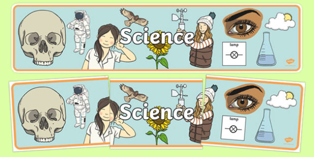Science Display Banner Teacher Made
