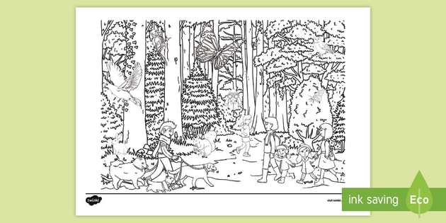 Busy Woodland Colouring Challenge (teacher made)