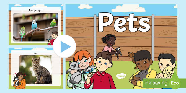 Pets Photo PowerPoint (teacher made) - Twinkl