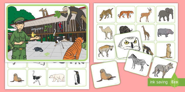Zoo Memory Game (teacher made) - Twinkl