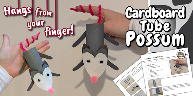 Cardboard Tube Possum Craft Activity