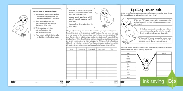 spelling ch and tch sounds worksheet teacher made