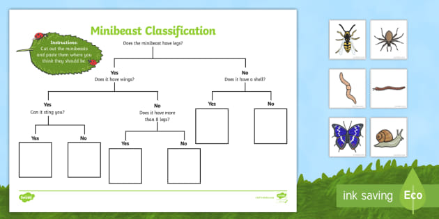 Animal Flow Chart Ks2