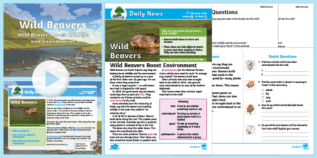 Environmental Education Resource Pack • Twinkl.com.au