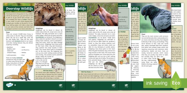 wild animals reading