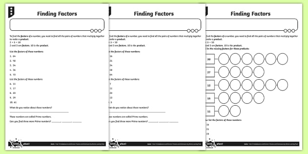 What is a factor?