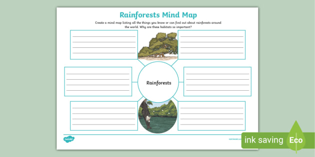 * NEW * Rainforests Mind Map (teacher made)