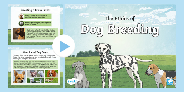 KS2 National Pet Month: The Ethics Of Dog Breeding PowerPoint