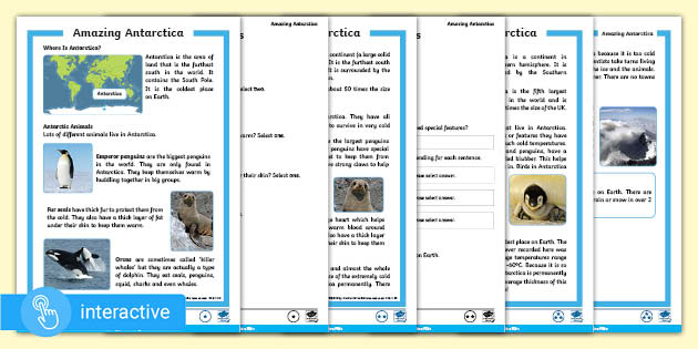 interactive pdf year 2 amazing antarctica differentiated reading comprehension