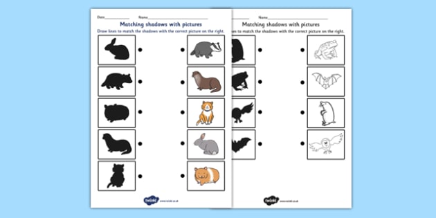 Nocturnal Animals Shadow Matching Worksheet (teacher made) Nocturnal Animals Shadow Matching Worksheet (teacher made)
