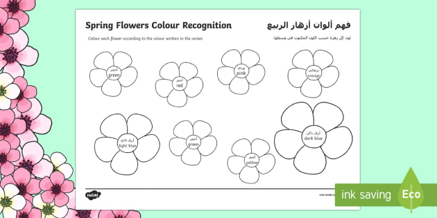 spring flowers color recognition coloring page arabic/english