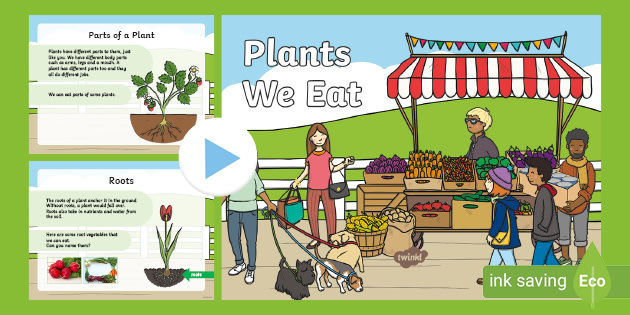 Plants You Can Eat PowerPoint KS1 - Primary Resources