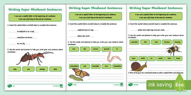 learning-school-pack-1-mini-beast-sentence-builder-worksheets-toys