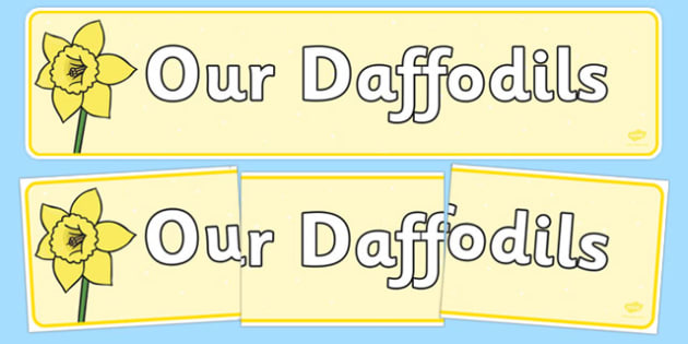 Our Daffodils Display Banner (teacher made)