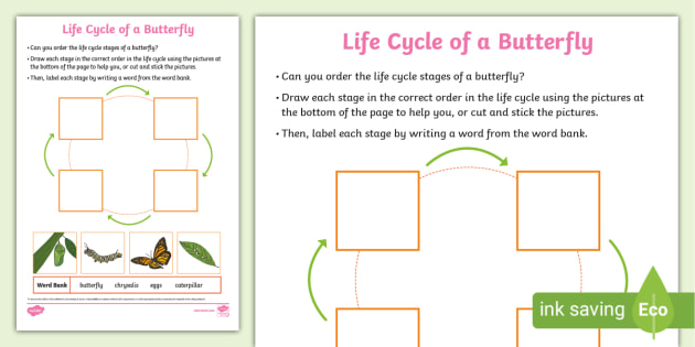 Cycle by store