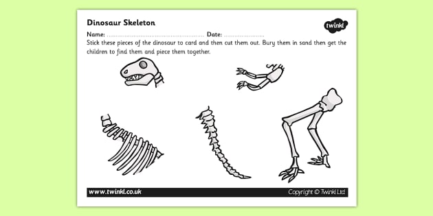 Dinosaur Skeleton Cut and Stick Worksheet / Worksheet