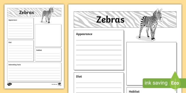 Zebras Fact File Template,Zebras (teacher made)