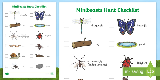 List of Minibeasts | Hunt Tick List | Primary Resources