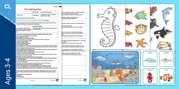 EYFS Under the Sea Guess Who Activity Adult Input Plan