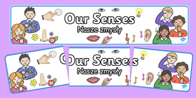 👉 Our Senses Banner Polish Translation (teacher made)