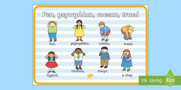 Head shoulders knees and toes in welsh - Learning Resources