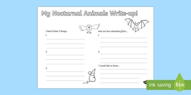 Nocturnal Animals Write Up Worksheet - Adaptation - Twinkl