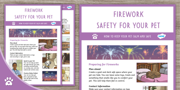 Firework Safety with Pets - Information Sheets - Twinkl Pets