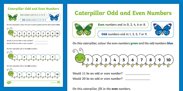 Caterpillars Odd And Even Numbers Worksheet