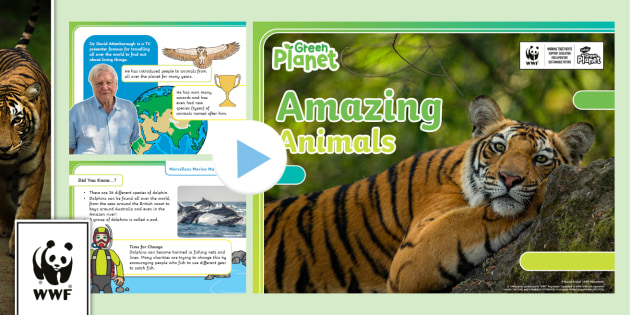 FREE! - WWF: Amazing Animals PowerPoint with David Attenborough [Ages 5 - 7]