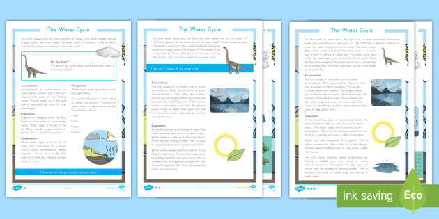 The Water Cycle Differentiated Reading Comprehension Activity - Science