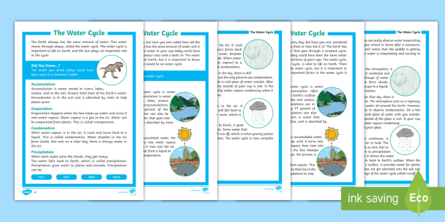 The Water Cycle Differentiated Reading Comprehension Activity