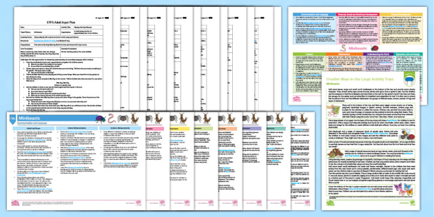 EYFS Ages 3-4 Minibeasts Bumper Planning Pack (teacher made)