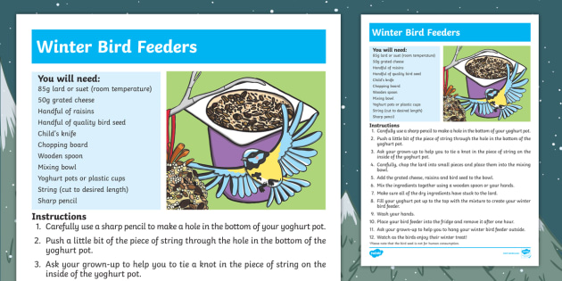 How To Make A Winter Bird Feeder Step By Step Instructions