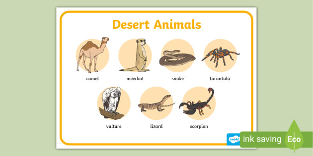 Desert Animals Word Mat (teacher made) - Twinkl