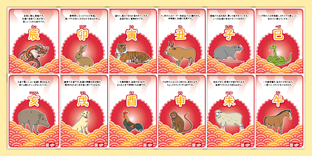 t-1672095099-gan-zhiposuta-ri-