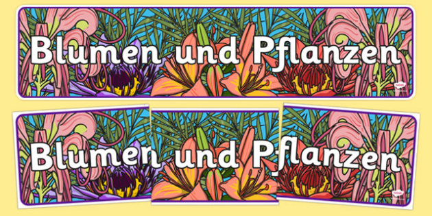 Blumen Und Pflanzen German Plants And Flowers Ipc Display