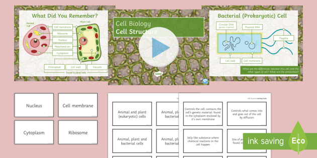 Biology Week Cell Structure Lesson PowerPoint
