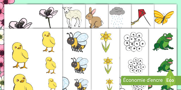 Images à classer par ordre de grandeur : le printemps