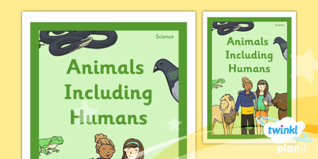 Science: Animals Including Humans Year 1 Unit Book Cover