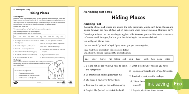 hiding-places-worksheet-worksheet-teacher-made-twinkl