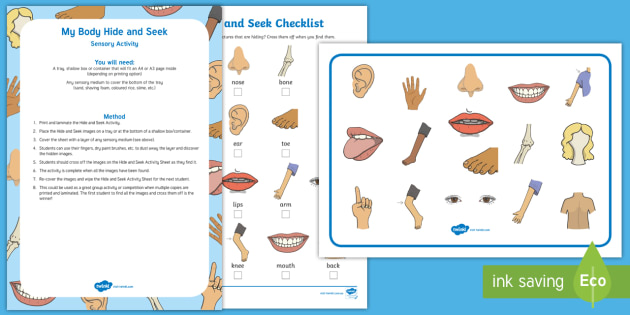 My Body 'Hide and Seek' Sensory Activity (teacher made)
