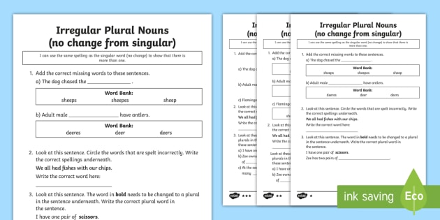 irregular plural nouns no change from singular differentiated worksheet