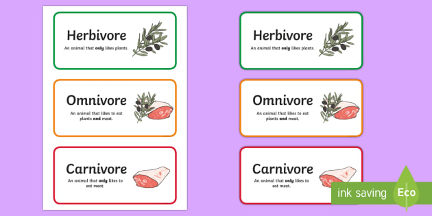 herbivore carnivore omnivore