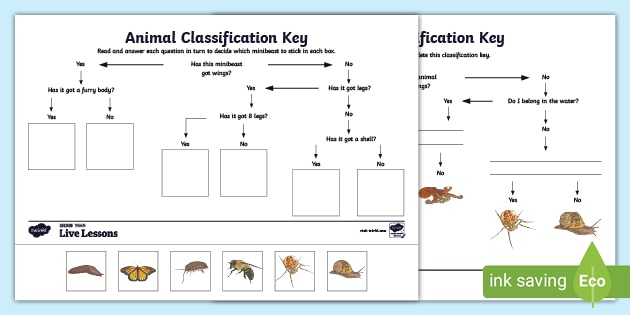 FREE! - Animal Classification Keys KS2 - Primary Resources - Twinkl