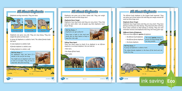All About Elephants Reading Comprehension Activity