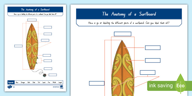 Anatomy of a Surfboard Labelling Activity (teacher made)