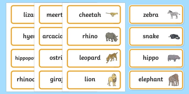 Safari Animals Vocabulary In English