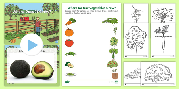 Where does. Where does it grow Worksheet. Where does it grow.