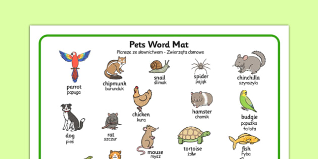 Pets Word Mat Polish Translation (teacher made)